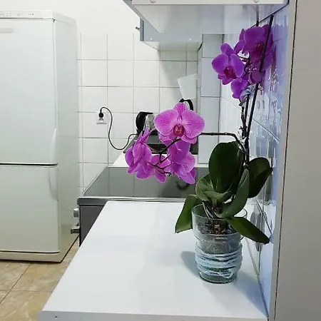 City Stogi Apartament Appartement
